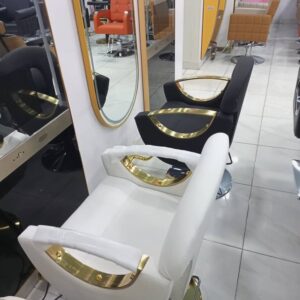 Adjustable Barbing Saloon Executive Chair