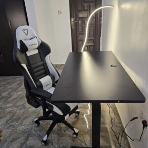 Sit-Stand Desk + Furgle Game Chair